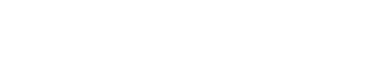 stielleben